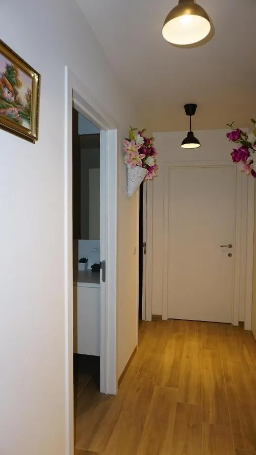 Apartment Anvers  Antwerpen